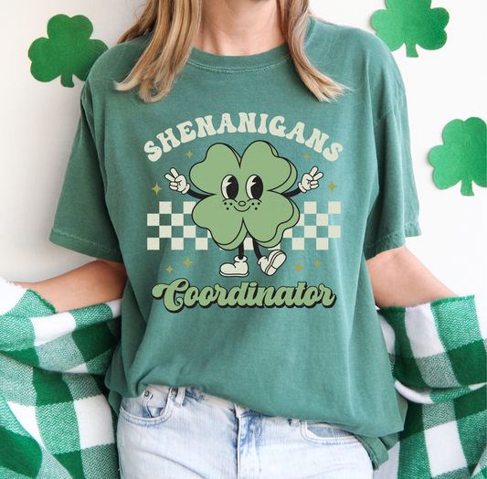 Shenanigans Coordinator -  Crewneck, Hoodie, or T-Shirt