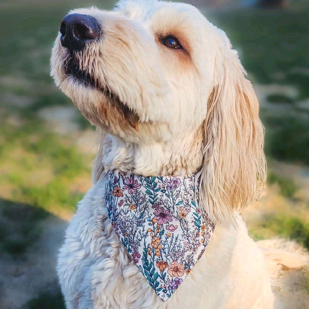 Camo Dog Bandana - Over The Collar