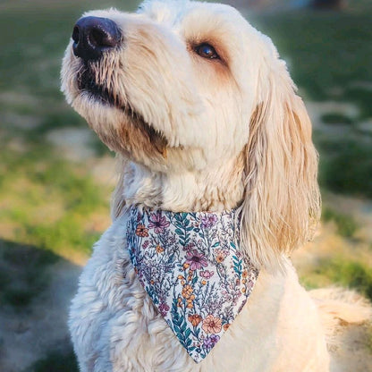Camo Dog Bandana - Over The Collar