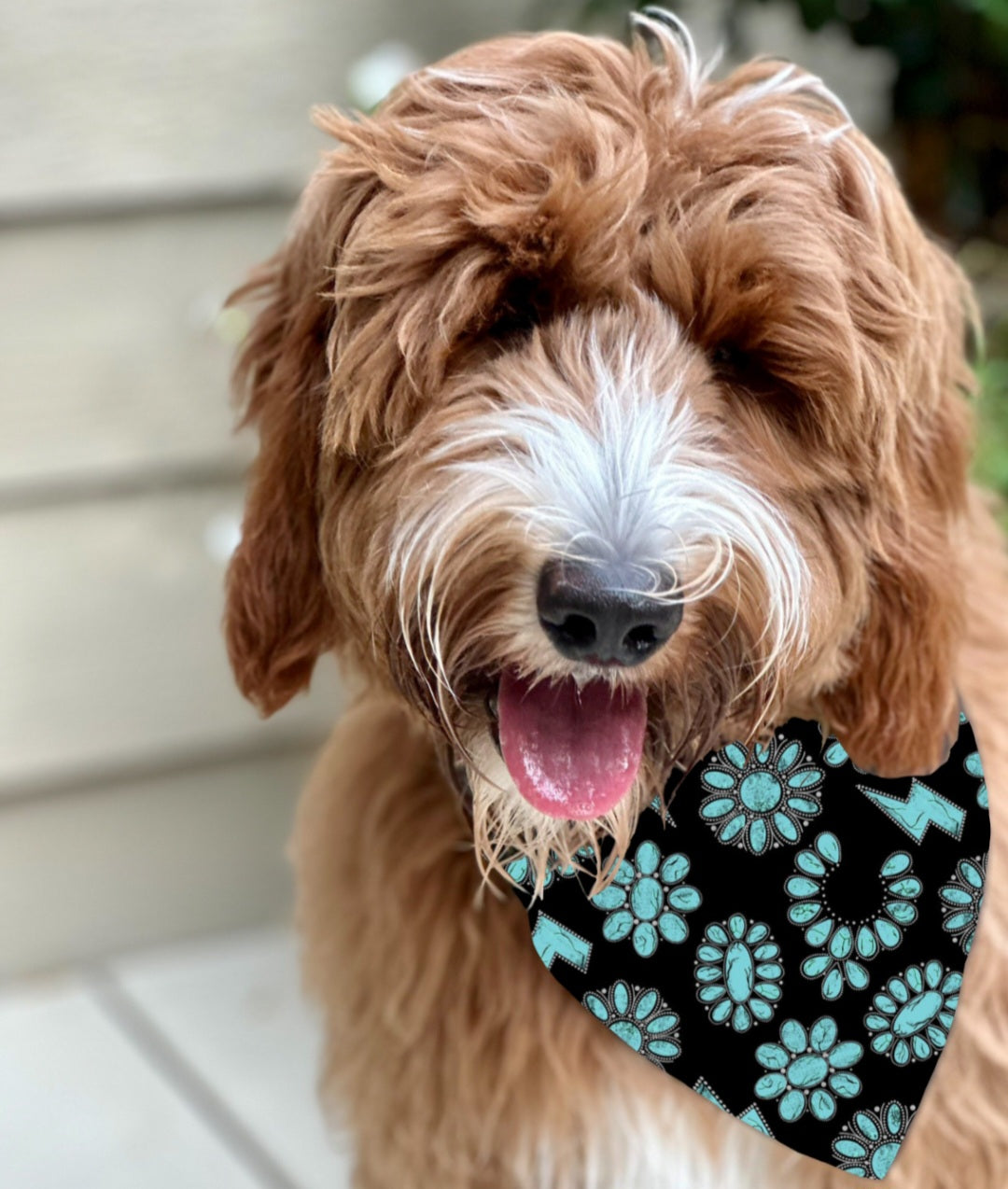 Camo Dog Bandana - Over The Collar